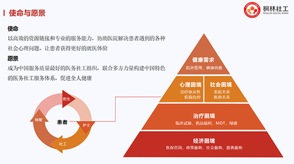 健全重特大疾病保障網(wǎng)，賦能醫(yī)務(wù)社工與咨詢(xún)服務(wù)業(yè)發(fā)展
